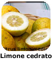 limone cedrato
